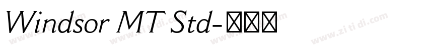 Windsor MT Std字体转换